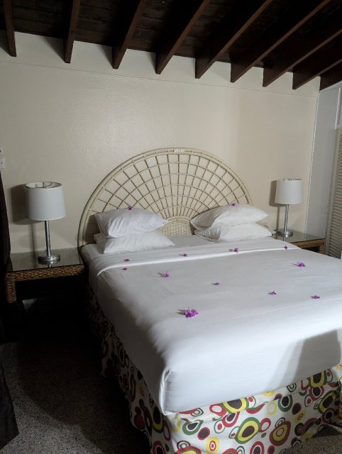 Starfish Tobago Resort-官方