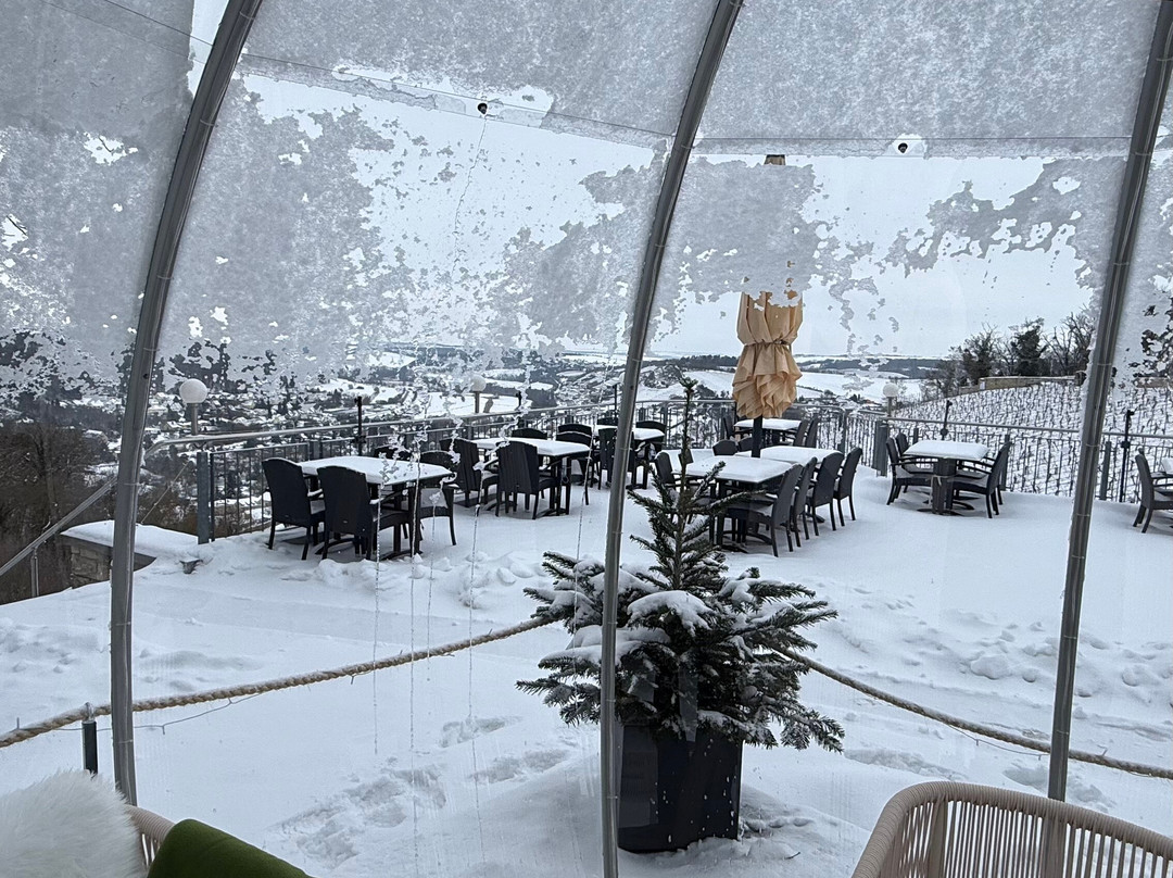 Weinberghotel Edelacker主图