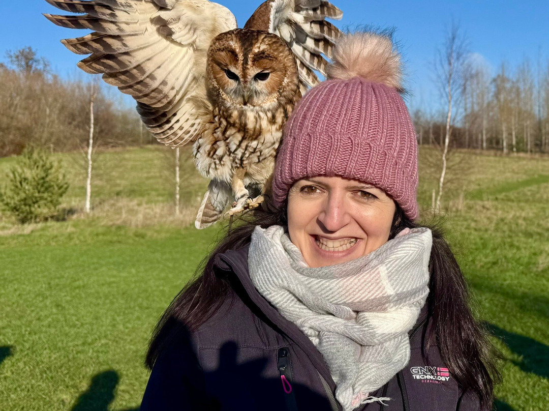 Bird on the Hand Falconry Experiences-Church Langton必去景点