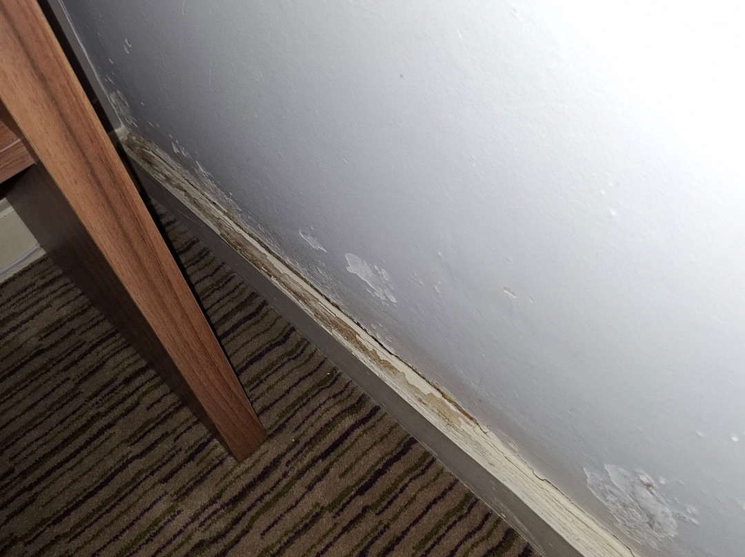 The Dukes Head Hotel主图