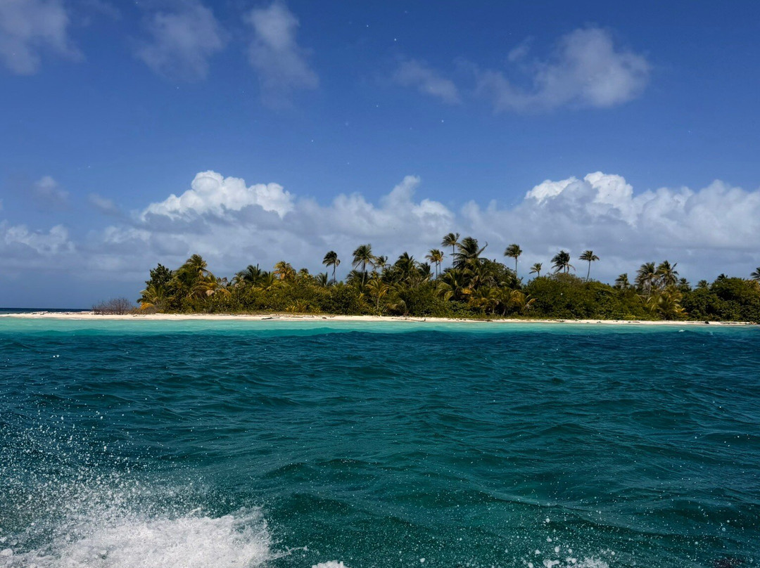 Flying Ginny Catamaran Charter-埃尔波韦尼尔必去景点