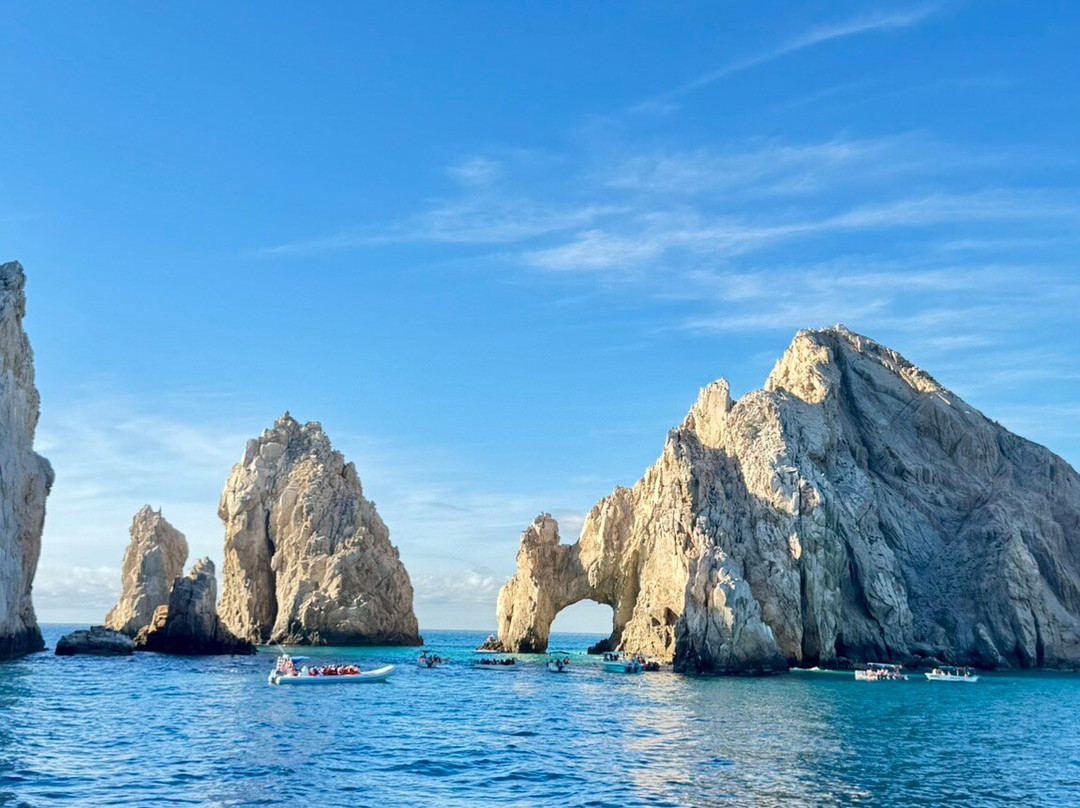 Baja Magdalena-圣何塞卡波必去景点