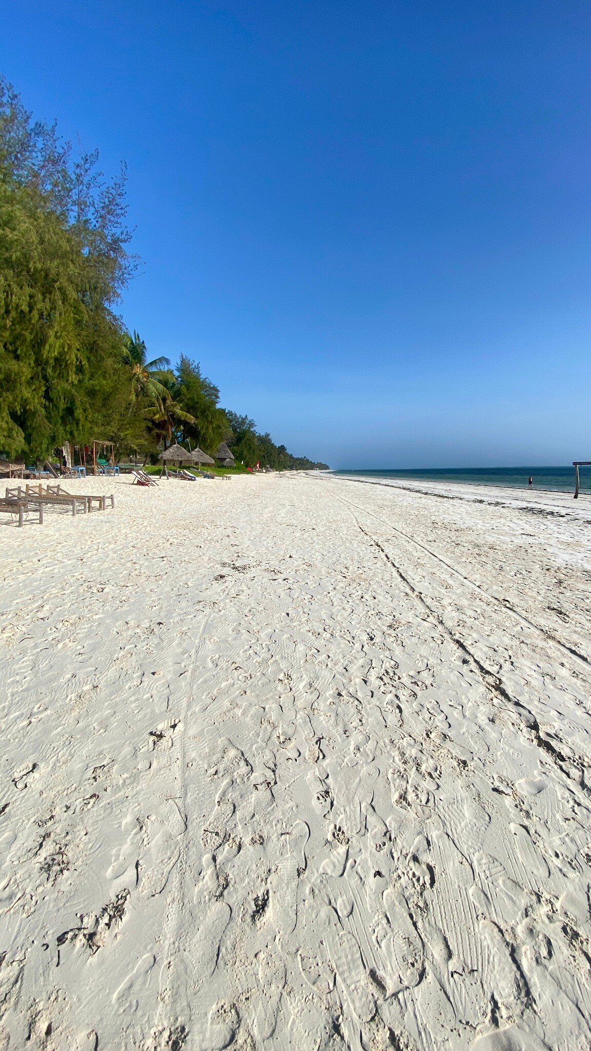 Evergreen Bungalows-官方