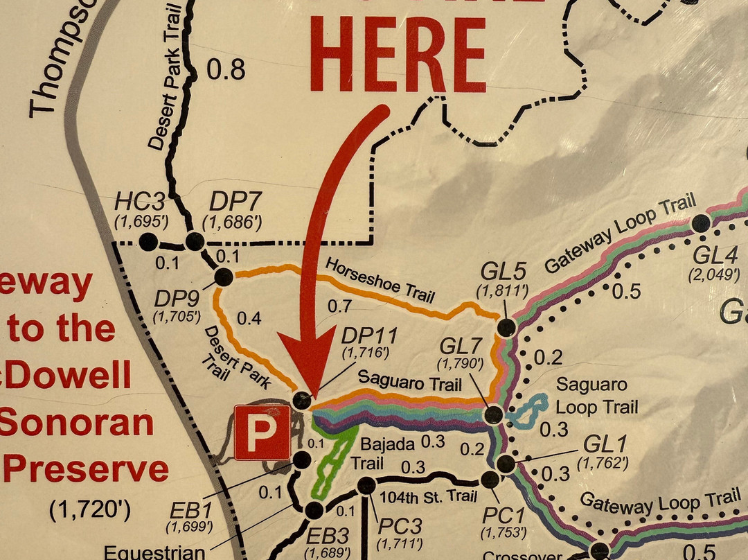 McDowell Sonoran Preserve-斯科茨代尔必去景点