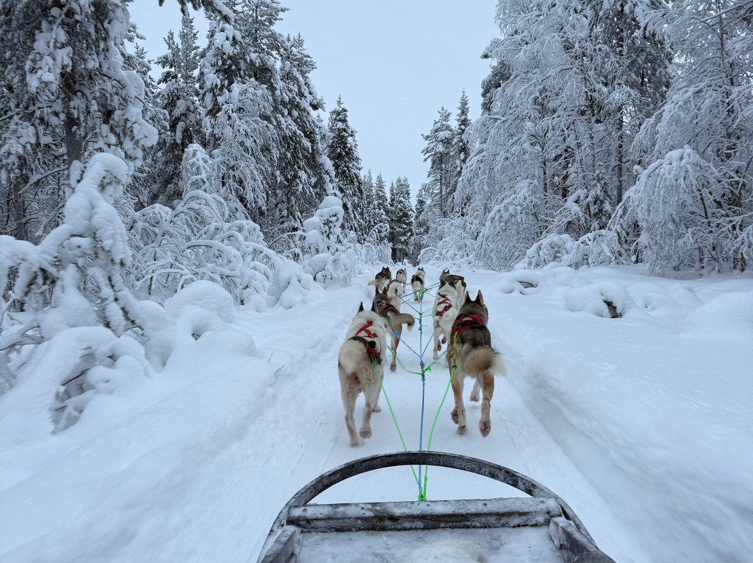 Eanan Levi Tours-Levi必去景点