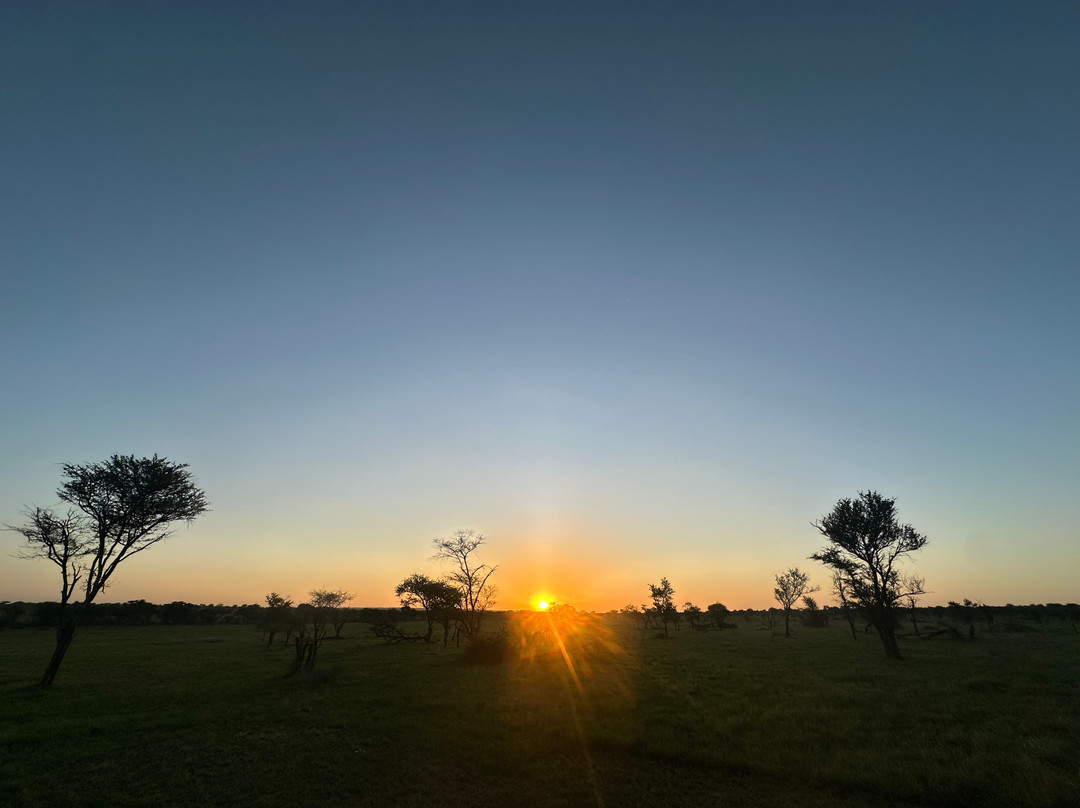OSOTUA TENTED CAMPS-Ikoma必去景点