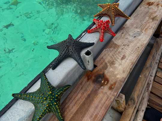 Salum Travel-Mikumi必去景点