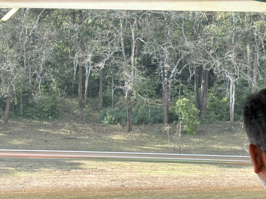 Periyar Lake-帖可迪必去景点