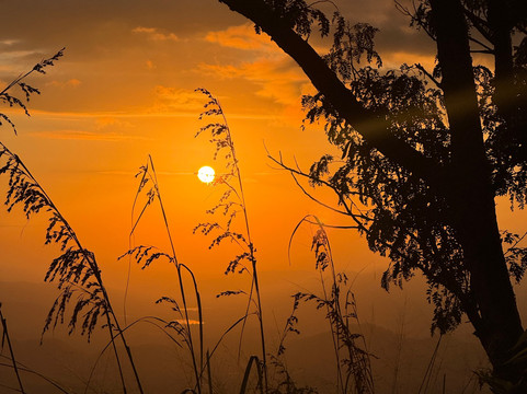 Ceylon D Tours-加勒必去景点