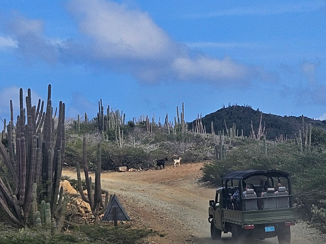 Fofoti Tours & Transfers-奥腊涅斯塔德必去景点