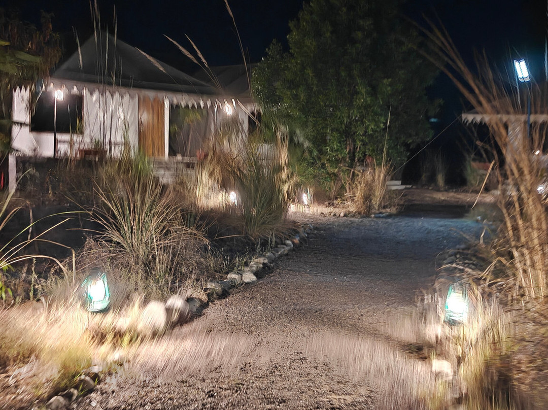 Clarks Safari Jawai主图