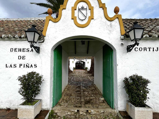 Cortijo Las Piñas主图