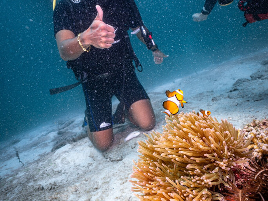 Forra Diving - Day Tour-丽贝岛必去景点