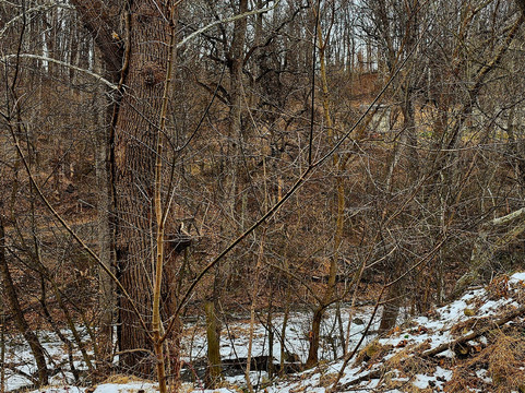 Rowlandsville Fishing Park