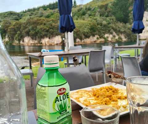 胡卡养虾场-陶波必去景点