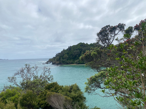 Whale Bay-Matapouri必去景点