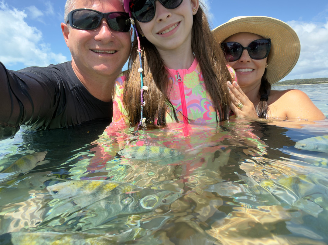 Fran6 Turismo Maceió-Maceio必去景点