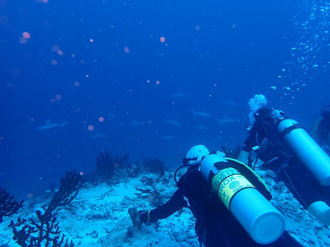 Fulidhoo Dive & Water Sports-Fulidhoo必去景点