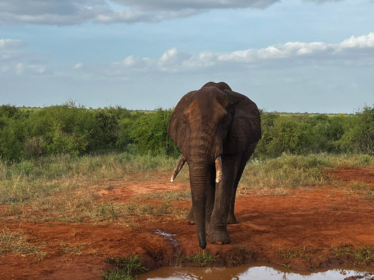 Discovery Kenya con Fragola-瓦塔木必去景点