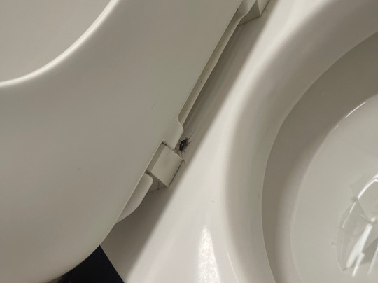 Red Roof Inn Washington DC - Columbia / Fort Meade主图