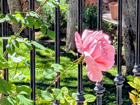 La Gruta Spa-圣米格尔护城必去景点