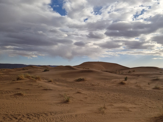 Sahara Relax-扎古拉必去景点