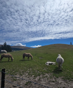Deer Park Heights景点门票图片