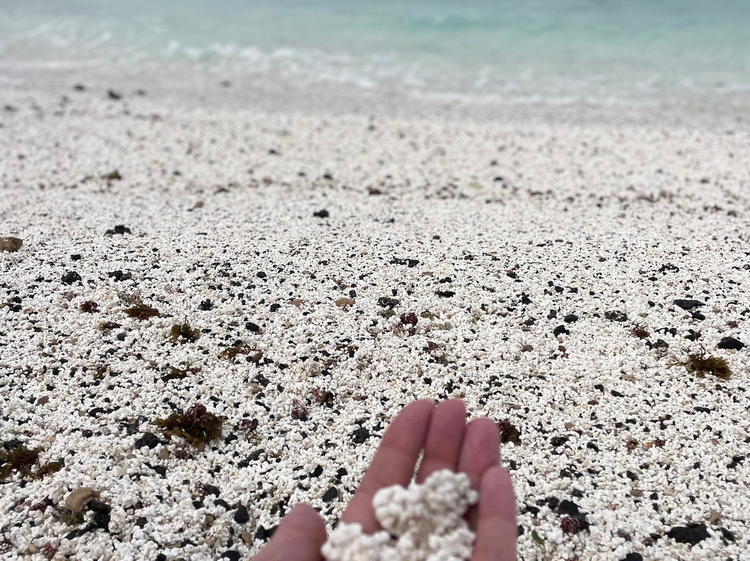 Popcorn Playa-科拉雷侯必去景点