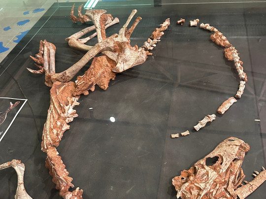 CAPPA-Centro de Apoio à Pesquisa Paleontológica da Quarta Colônia-Sao Joao do Polesine必去景点