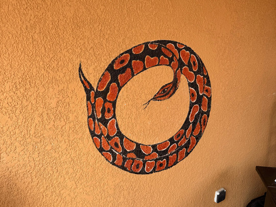 Temple des Pythons-Ouidah必去景点