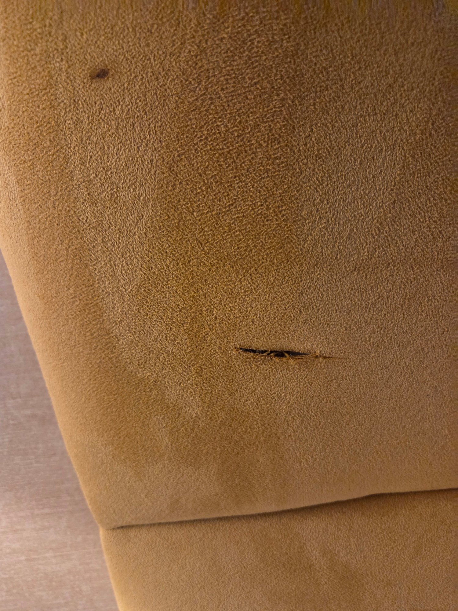 Showboat Atlantic City Hotel-官方