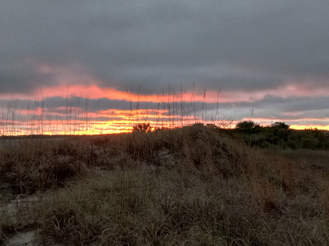 Daniel Island-查尔斯顿必去景点