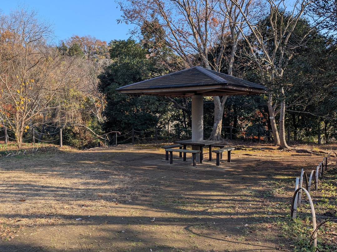 Radiant Flower Hill Park-二宫町必去景点