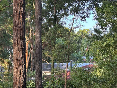 Gwinganna Retreat & Spa主图