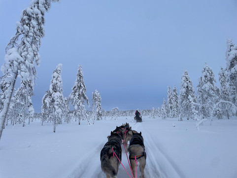 Oulanka Aventure Arctic-Salla必去景点