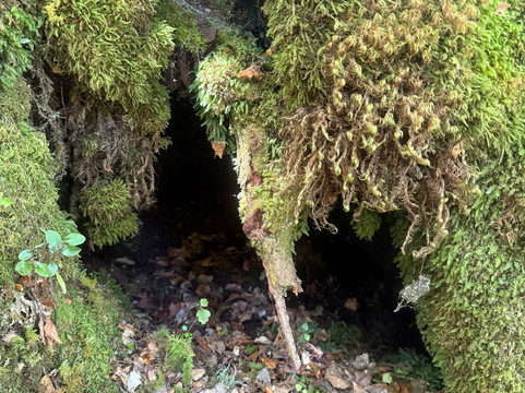 Lewis Pass-Maruia必去景点