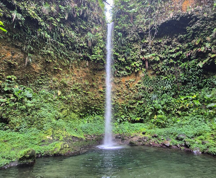 Spanny Falls-多米尼克必去景点