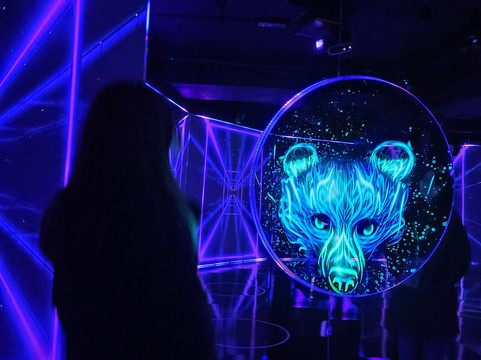 Moir - The Museum Of Infinite Realities-布鲁塞尔必去景点