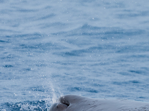 Vitamin Sea Mauritius-黑河必去景点
