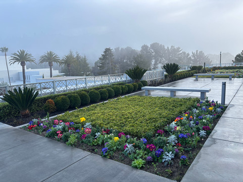 Oakland Temple Visitors' Center-奥克兰必去景点