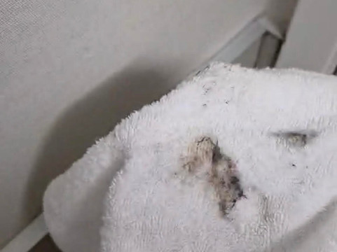 布罗瑟德贝斯特韦斯特酒店主图