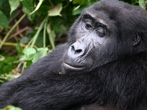 Pearl Nature Holidays-坎帕拉必去景点