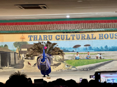 Tharu Culture Programme-苏拉哈必去景点