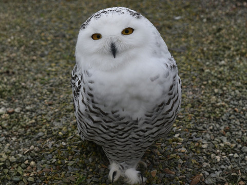 Wild Ireland-Burnfoot必去景点