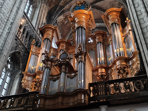 Collégiale Sainte-Waudru-蒙斯必去景点