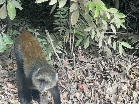 Eden Tours and Travel-桑给巴尔岛必去景点