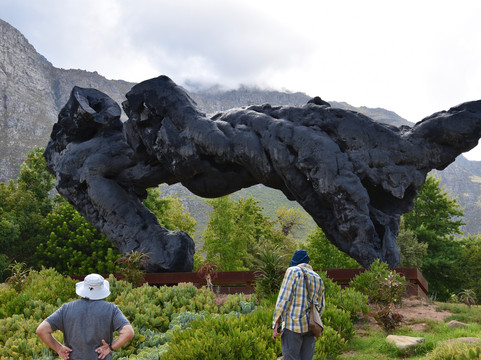 Dylan Lewis Sculpture  Garden-斯泰伦博斯必去景点