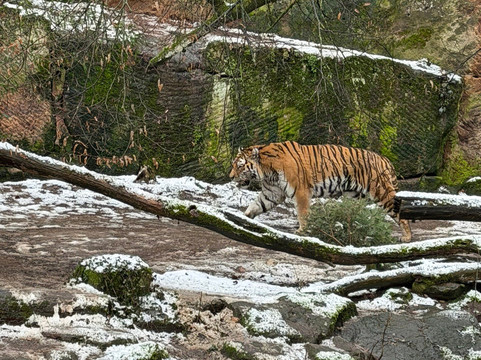 Tiergarten Nuernberg-纽伦堡必去景点