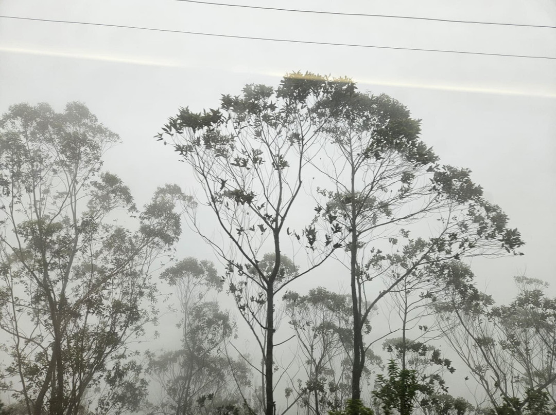 Sri Lanka Wide Tours-科伦坡必去景点