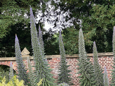 Burton Agnes Hall-Burton Agnes必去景点